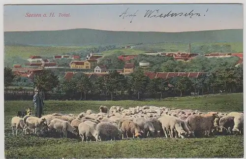 45945 Feldpost Ak Seesen am Harz Schafherde 1915