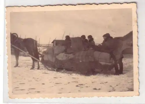 45883 Photo Russie soldats traîneau de chevaux 2. WK