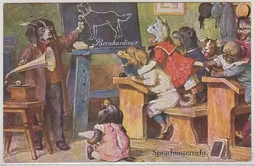 45855 Humor Ak Hunde beim Sprachunterricht 1929