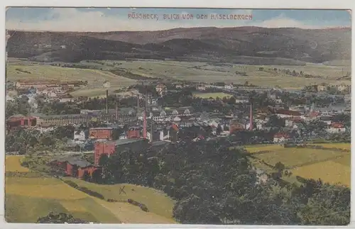 45313 Ak Pössneck Blick von den Haselbergen 1928