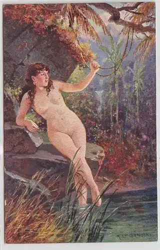 44882 Erotik Ak nackte Dame in den Tropen um 1910
