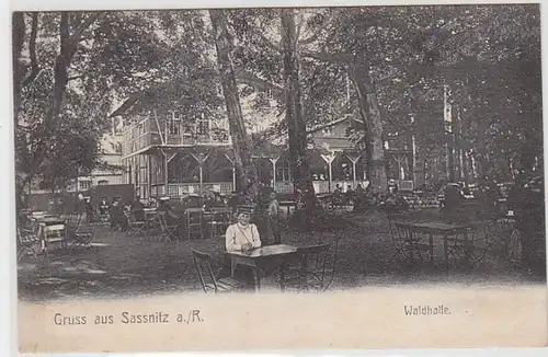 44783 Ak Salutation en Sassnitz a.R. Waldhalle vers 1910