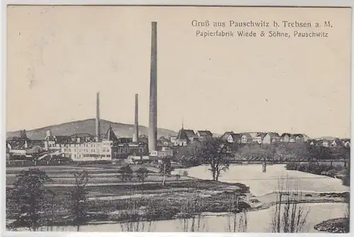 44692 Ak Gruß aus Pauschwitz bei Trebsen a.M. 1919