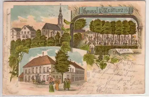 44574 Ak Lithographie Gruß aus Zedlitz in Sa. 1900