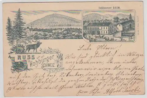 44329 Mehrbild Ak Gruß aus der Hohburger Schweiz 1897