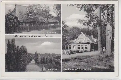 44216 Mehrbild Ak Walsrode Lüneburger Heide 1956