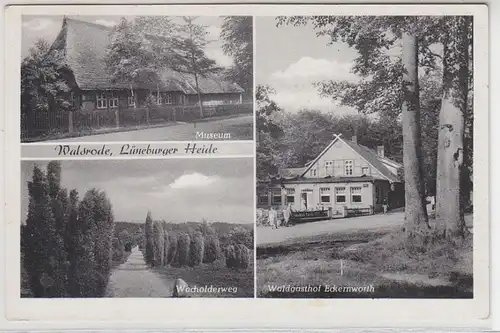 44216 Multi-image Ak Walsrode Lüneburger Heide 1956