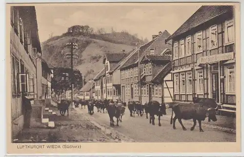 43813 Ak station thermale Wieda Hotel Braunschweig vers 1910