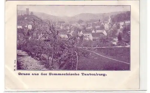 43659 Ak Gruß aus der Sommerfrische Tautenburg um 1900