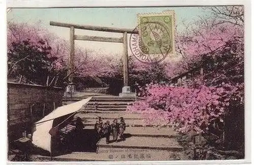 43448 Ak Yokohama Japon Cherry Blossom of Nogeyama 1908