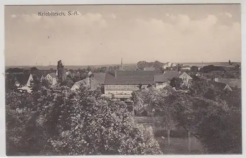 43353 Ak Kreibitzsch S.-A. Vue totale vers 1910