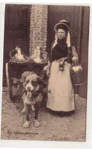 42652 Feldpost Ak Laitière Flamande Hundefuhrwerk Belgien 1916