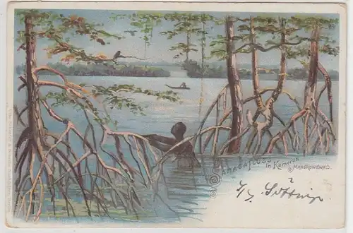 42467 Ak Lithographie Sanagaflut au Cameroun vers 1900