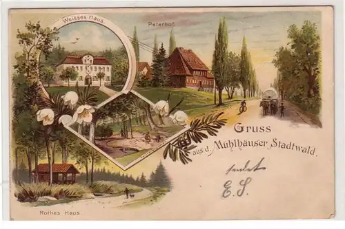 42358 Ak Salutation de la Mühlhausen Stadtwald vers 1900