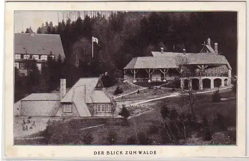 41978 Ak Bad Harzburg Winuwuk et Sonnenhof vers 1925