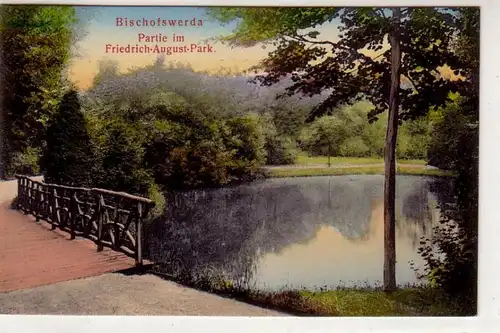 41791 Ak Bischofswerda Friedrich August Park um 1910