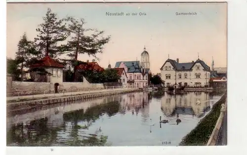 41762 Ak Neustadt à Orla Gamsenteich 1908