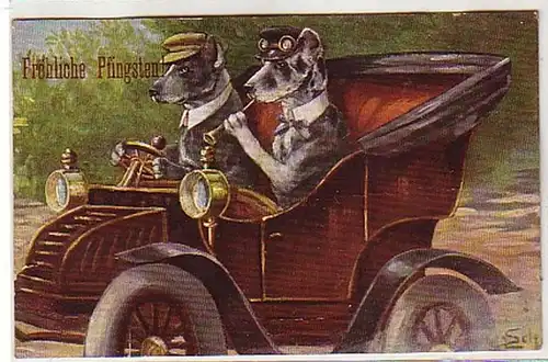 40488 Pfingst Ak 2 Hunde fahren Auto 1909