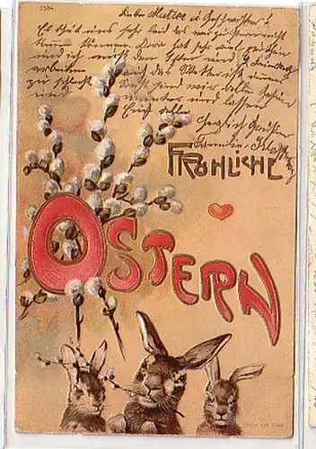 40423 Oster Präge Ak Hasen mit Weidenkätzchen 1903