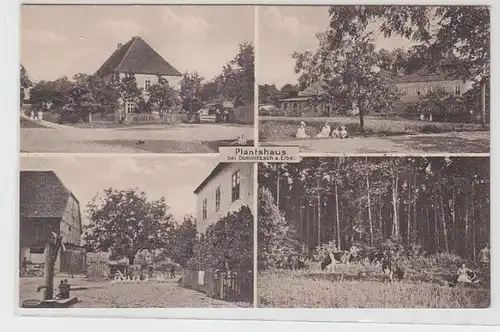 40082 Mehrbild Ak Plantshaus bei Dommitzsch a. Elbe um 1930