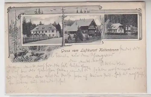 39734 Mehrbild Ak Gruß vom Luftkurort Kaltenbronn 1905
