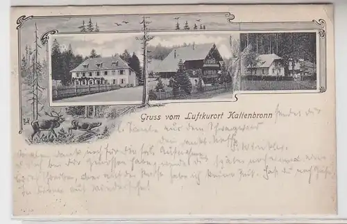 39734 Multi-image Ak Salutation de la station thermale de Kaltenbronn 1905