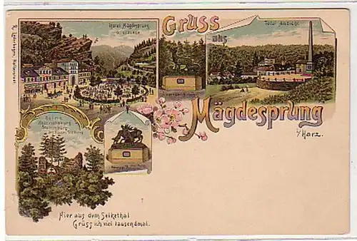 39668 Ak Lithographie Gruß aus Mägdesprung Harz um 1900