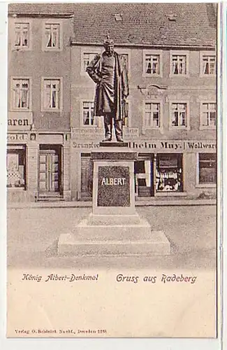 39628 Ak Gruß aus Radeberg König Albert Denkmal um 1905