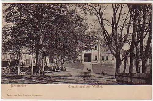 39252 Ak Neustrelitz grand-ducal Wildhof vers 1910