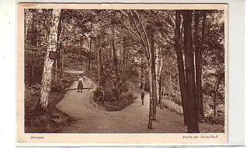 39208 Ak Meerane Partie im Anna Park 1913