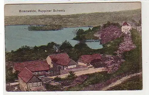39096 Ak Binenwalde Ruppiner Schweiz um 1920