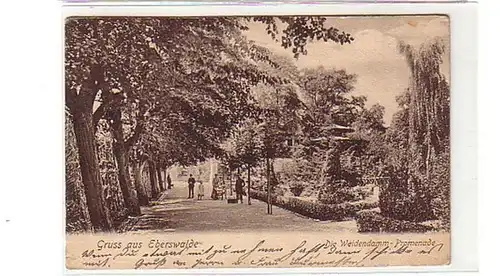 38952 Ak Gruß aus Eberswalde Weidendamm Promenade 1906