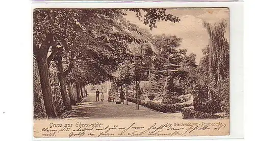 38952 Ak Salutation de Eberswalde Weidendamm Promenade 1906