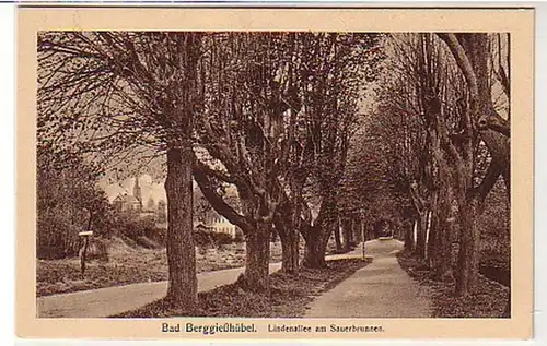 38803 Ak Bad Berggießhübel Lindenallee um 1930