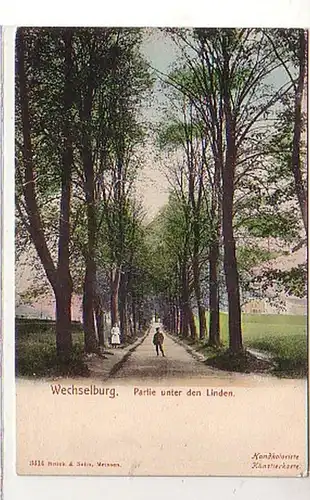 38547 Ak Wechselburg Partie unter den Linden um 1900