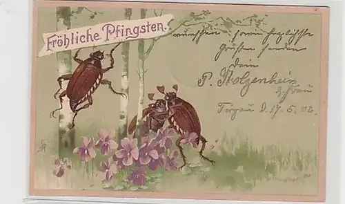 37982 Joyeux Pentecôte Ak avec 3 scarabées en 1902