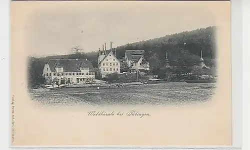 37795 Ak Waldhornle à Tübingen Vue totale vers 1910
