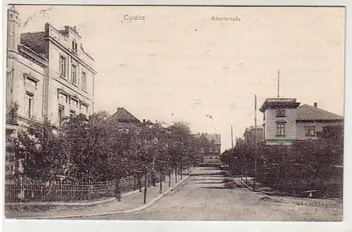 37658 Ak Colditz Albertstrasse 1910