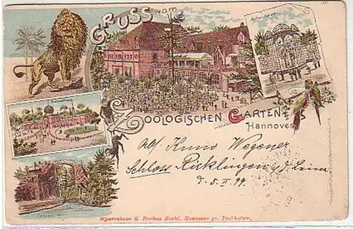 37331 Ak Lithographie Gruss aus Hannover ZOO 1899