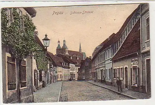 37007 Ak Pegau Schloss Strasse um 1920