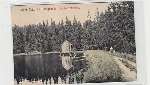 36639 Ak alter Teich im Assigbachtal bei Reitzenhain