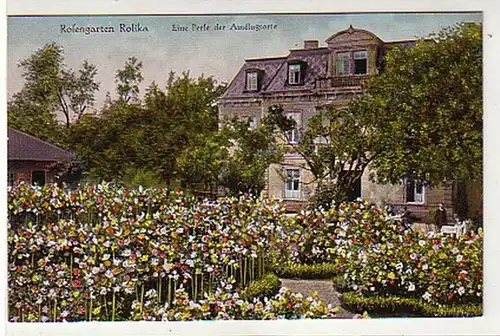 36612 Ak Rosengarten in Rolika um 1910
