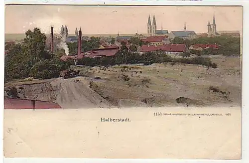 36476 Ak Halberstadt Totalansicht 1902