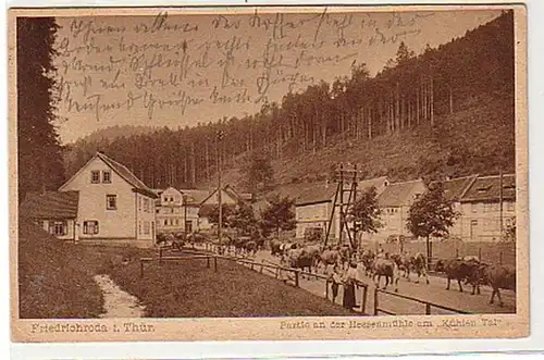 36197 Ak Friedrichroda in Thür. Hessenmühle 1924