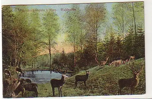 36174 Ak Benneckenstein dans la résine Forêt partie 1912