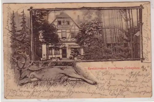 35399 Ak Restauration Forsthaus Gehspitze 1904