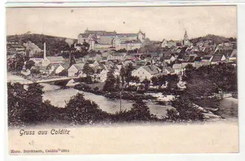 35035 Ak Gruß aus Colditz Totalansicht 1905
