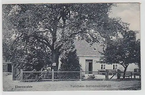 34902 Ak Eberswalde Forsthaus Bornemannspfuhl 1925