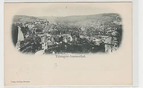 34861 Ak Tübingen Ammerthal Vue totale vers 1900
