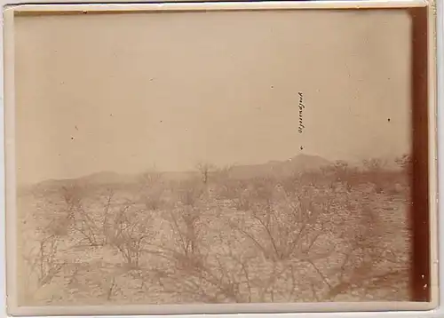 34775 Foto Kolonie DSWA von Punkt Apokane um 1910